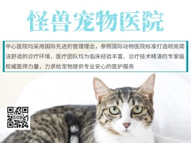 宠物医院公众号配图