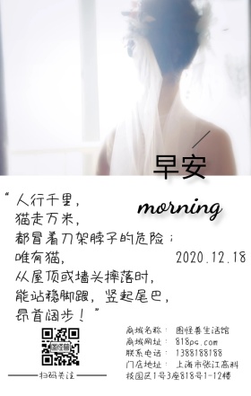 可爱猫咪昂首阔步早安简约日签