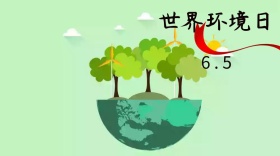 绿色简约保护环境世界环境日公众号封面