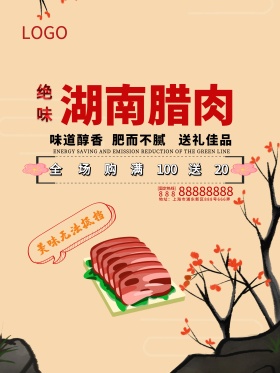 时尚湖南腊肉美食海报