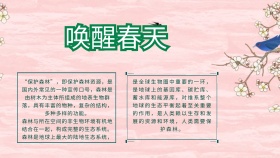 珍稀树木小报海报