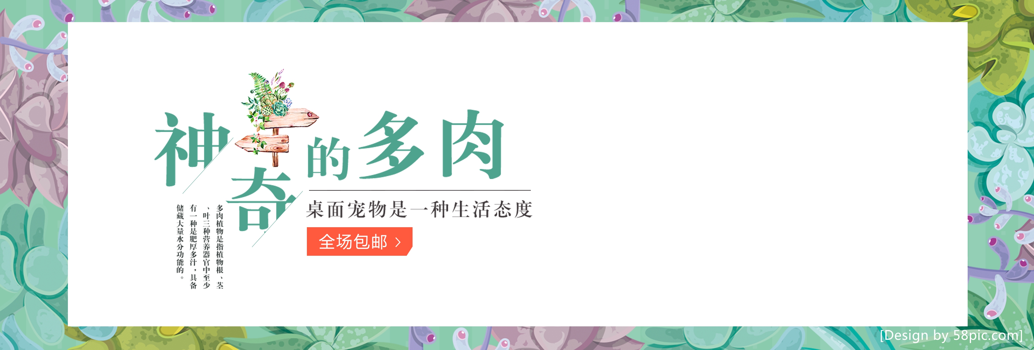 小盆栽