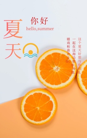 你好夏天与你相遇蓝色简约文艺手机海报