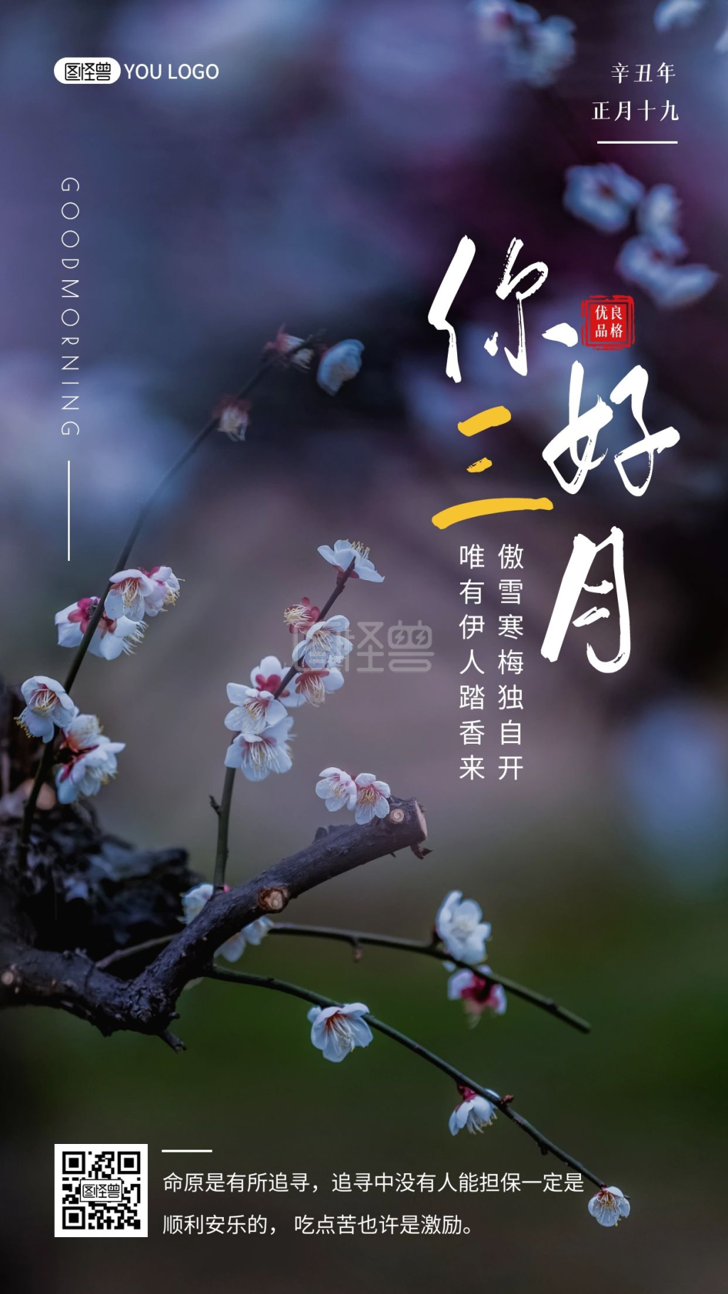 简约摄影早安中国风寒梅开梅花古风励志日签