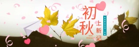电商淘宝天猫服装女装秋初秋上新促销海报banner