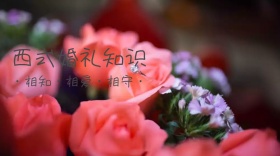 西式婚礼知识公众号封面