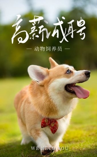 简约大气摄影动物园招聘动物饲养员h5模板