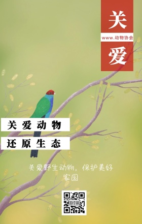 关爱 关爱动物 还原生态 www.动物协会 关爱野生动物，保护美好家园 保护动物公益宣传手机海报