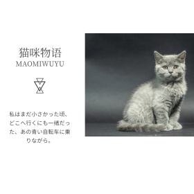 日系文艺简约小猫咪可爱公众号配图