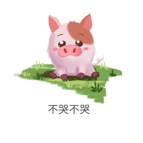 小猪表情包