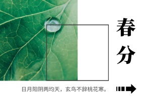 春分诗句绿色植物公众号配图