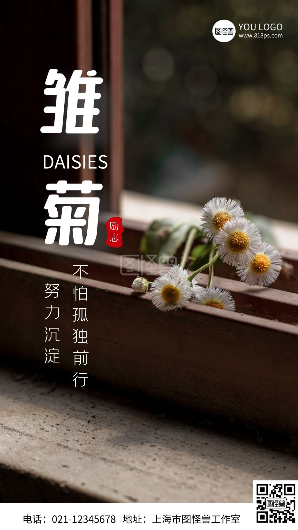 摄影图海报小雏菊春季赏花手机海报