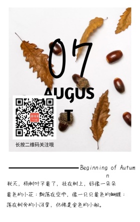 立秋秋季秋天文艺简约日签