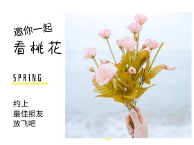 约上 看桃花 放飞吧 邀你一起 最佳损友 SPRING 春天春季春游景色油菜花公众号配图