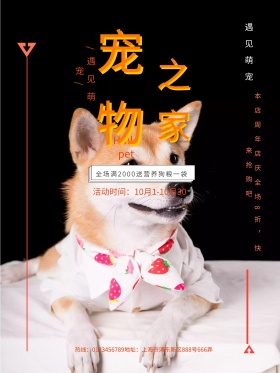 小清新宠物之家海报