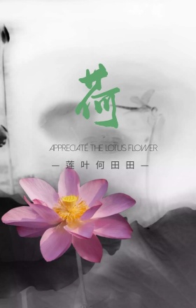 荷花夏日简约创意大气古典海报