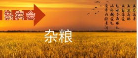 杂粮海报杂粮背景图