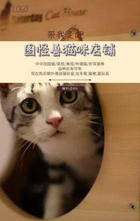喵咪店铺赠送礼品限时抢购卡通手绘手机海报