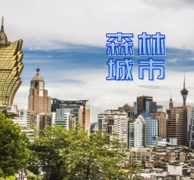 森林城市朋友圈封面