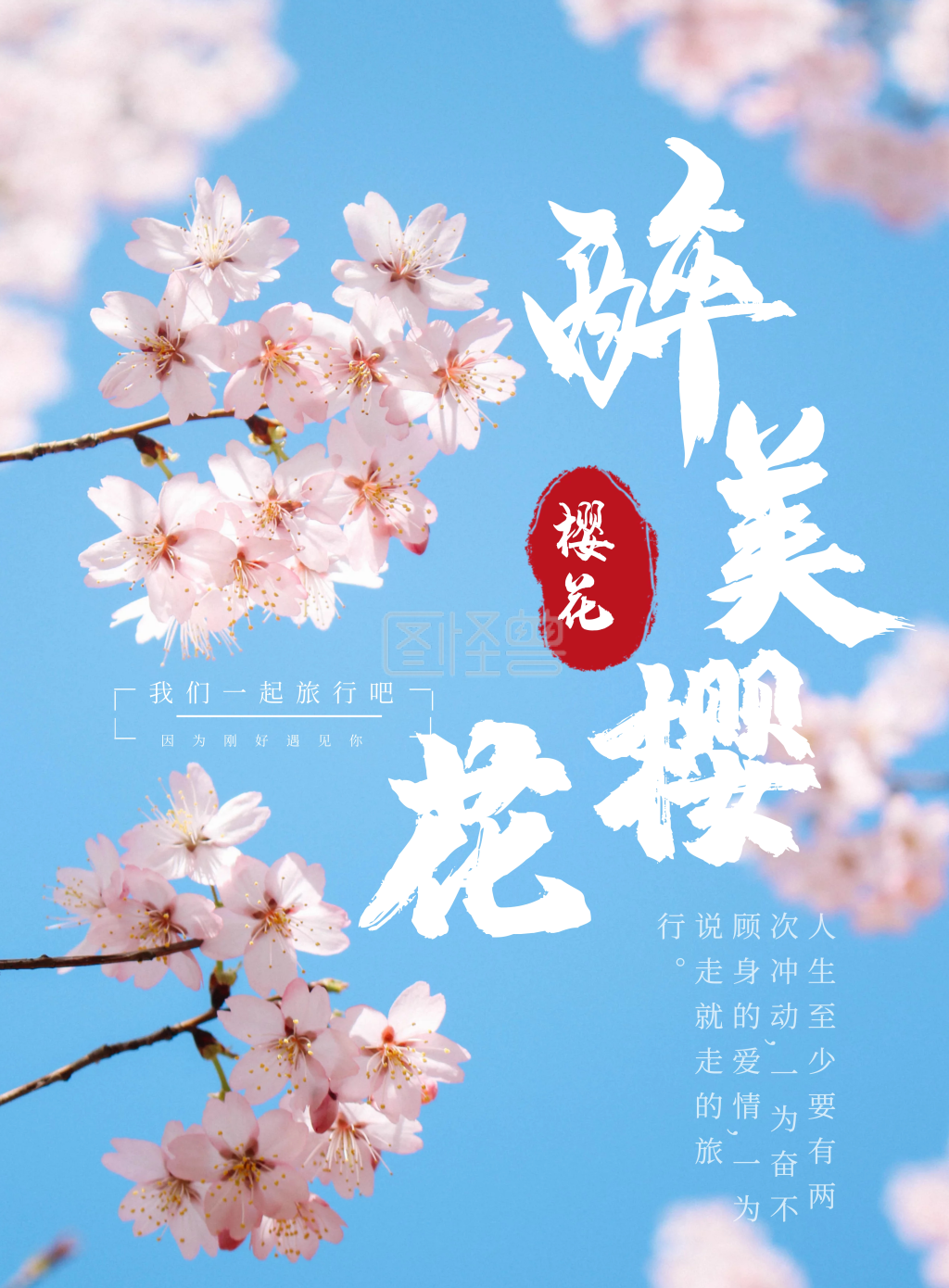 简约樱花摄影旅行户外竖版海报