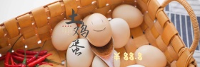 土鸡蛋banner简约psd源文件