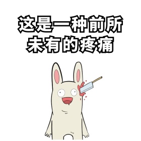 小猪表情包系列