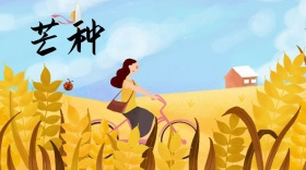 芒种简约手绘公众号封面模板