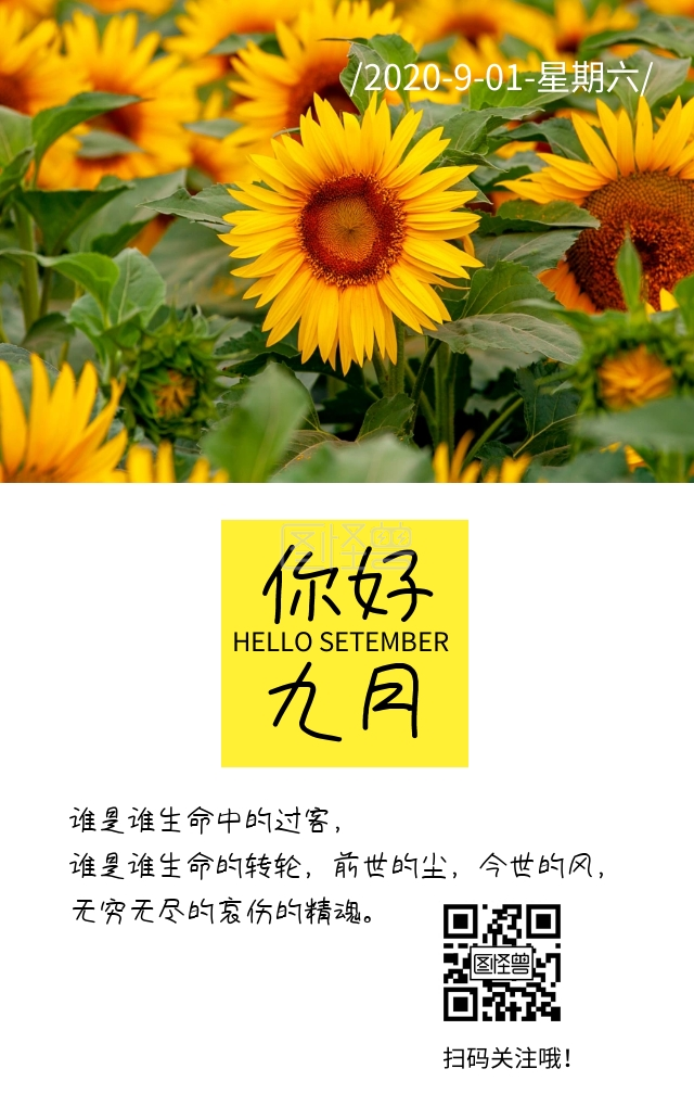 你好九月文艺小清新简约日签