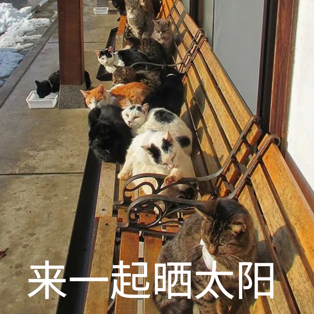 晒太阳
