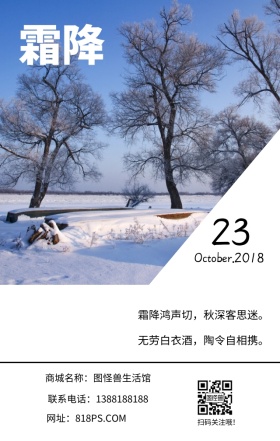 霜降季节节气树文艺简约日签