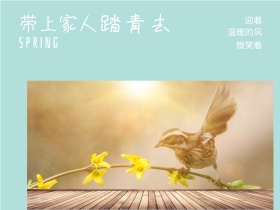 迎着 踏青去 微笑着 带上家人 温暖的风 SPRING 春天春季春游景色油菜花公众号配图