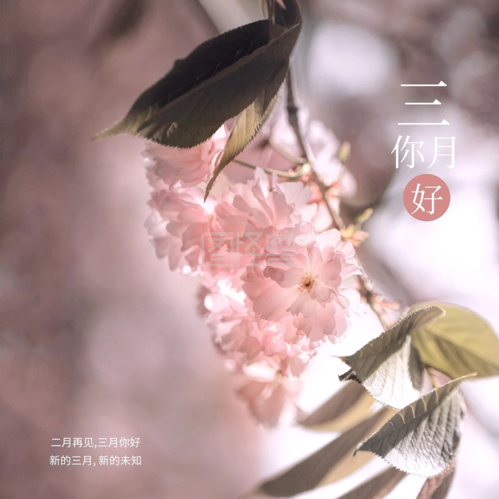 清新花朵三月你好问候