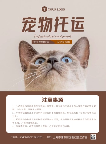 简约大气宠物托运注意事项海报