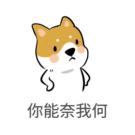 你能奈我何表情包