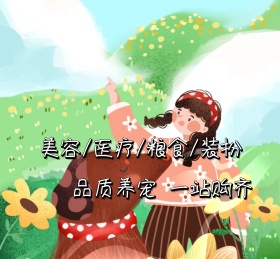 新店开业宠物店蓝色狗朋友圈封面