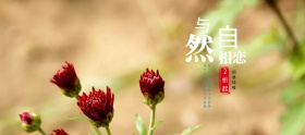 淡蓝色小清新窗台绿植多肉促销海报淘宝banner