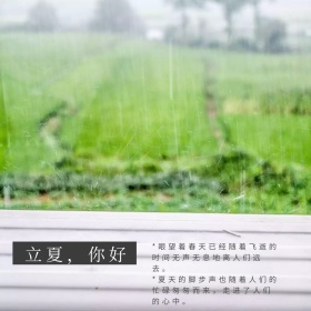 灰色摄影立夏金鱼公众号正方形配图