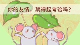 情感类友情红包公众封面图