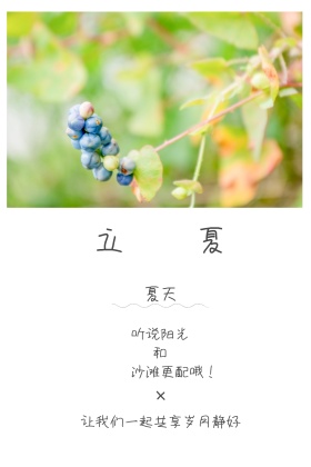 立夏红包公众号配图