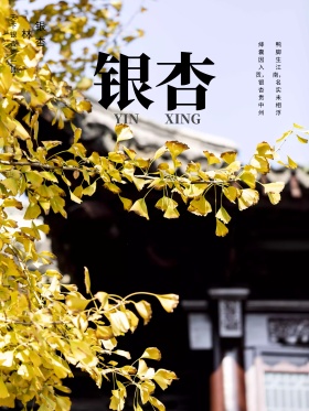 简约银杏旅游海报