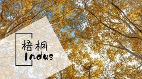 梧桐树林小路草地秋意公众号封面模版