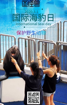动漫国际海豹日纪念日手机海报简约