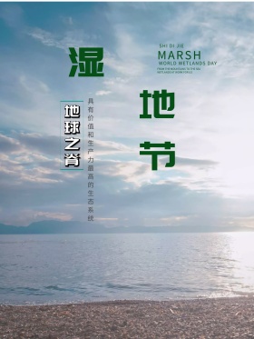 湿地节柳枝燕子花朵绿色环保小清新节日海报