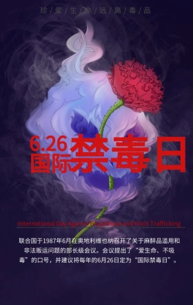 国际禁毒日珍爱生命红色简约手机海报
