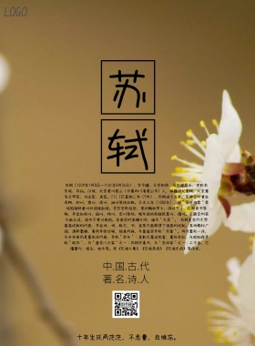 名人画册黑色大气简约印刷海报