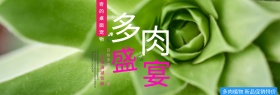 小清新手绘多肉盆栽盛宴淘宝海报banner电商