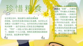 珍惜粮食小报手抄报
