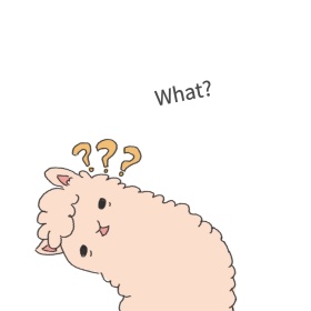 what表情包
