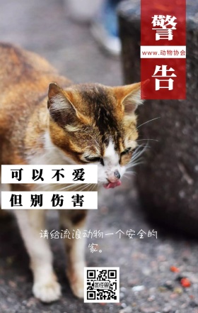 警告 可以不爱 但别伤害 www.动物协会 请给流浪动物一个安全的家。 保护动物公益宣传手机海报