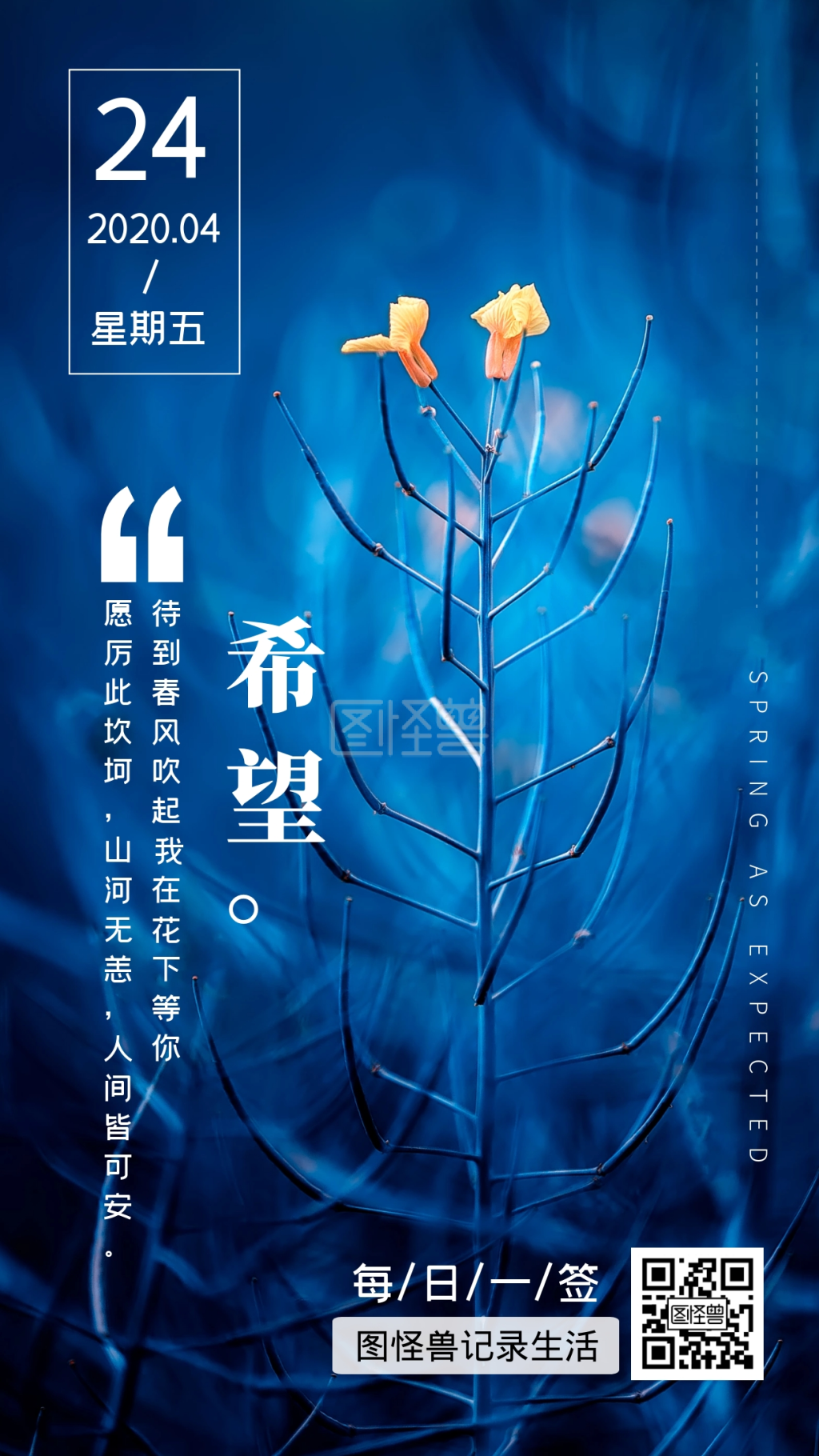 创意励志每日一签